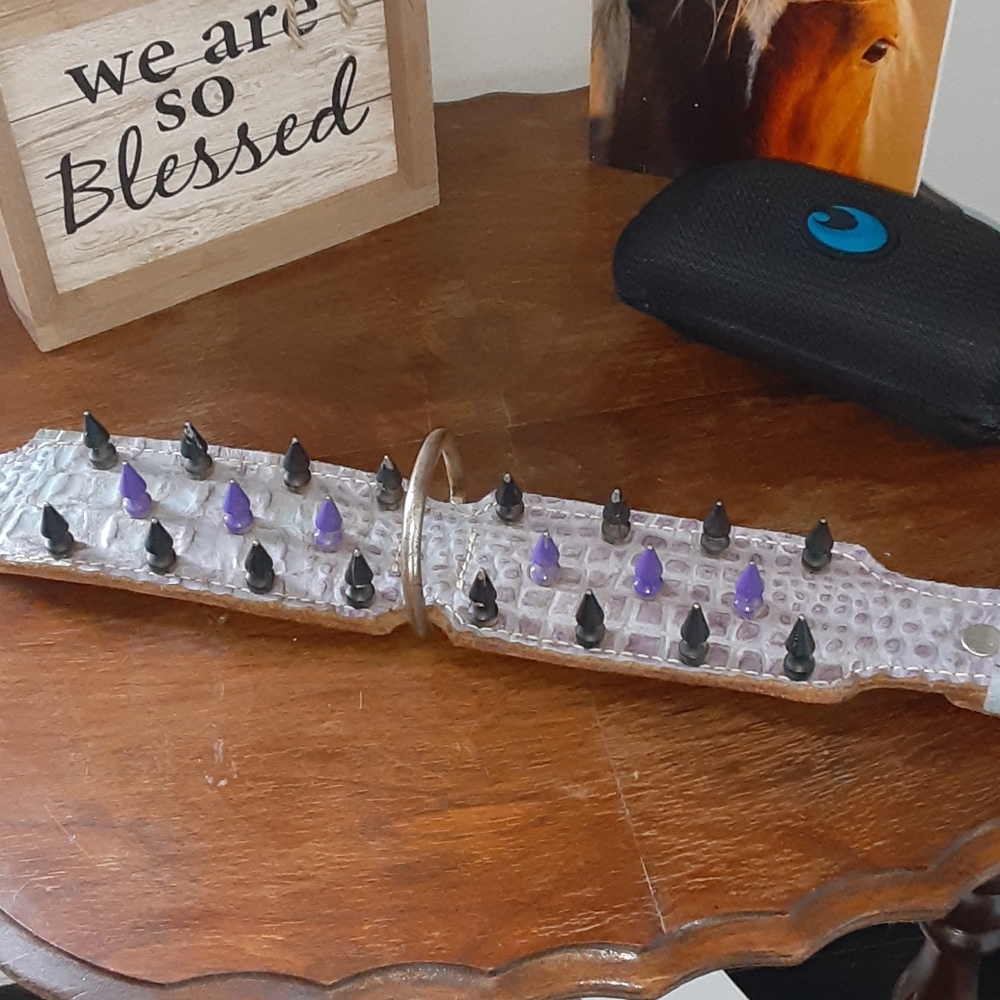 Crazy Dog Collar